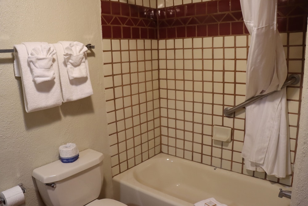 Sagebrush Inn & Suites - photo 62