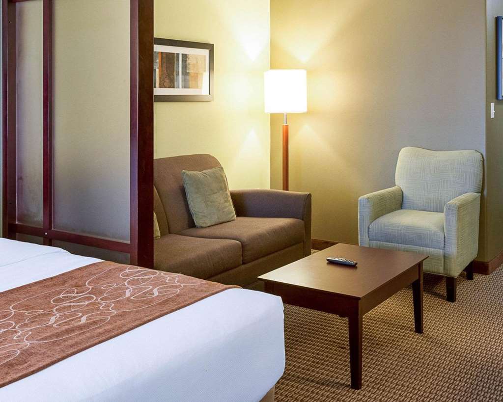 Comfort Suites Harvey New Orleans West - photo 9