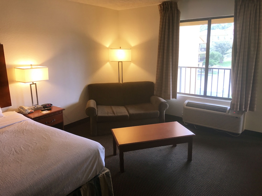 Days Inn & Suites by Wyndham Mobile - photo 17