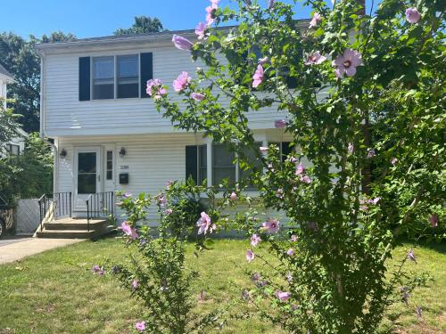 Boston Single Family House Super Quiet and Private — 4-Star Luxury Hotel in Boston, United States