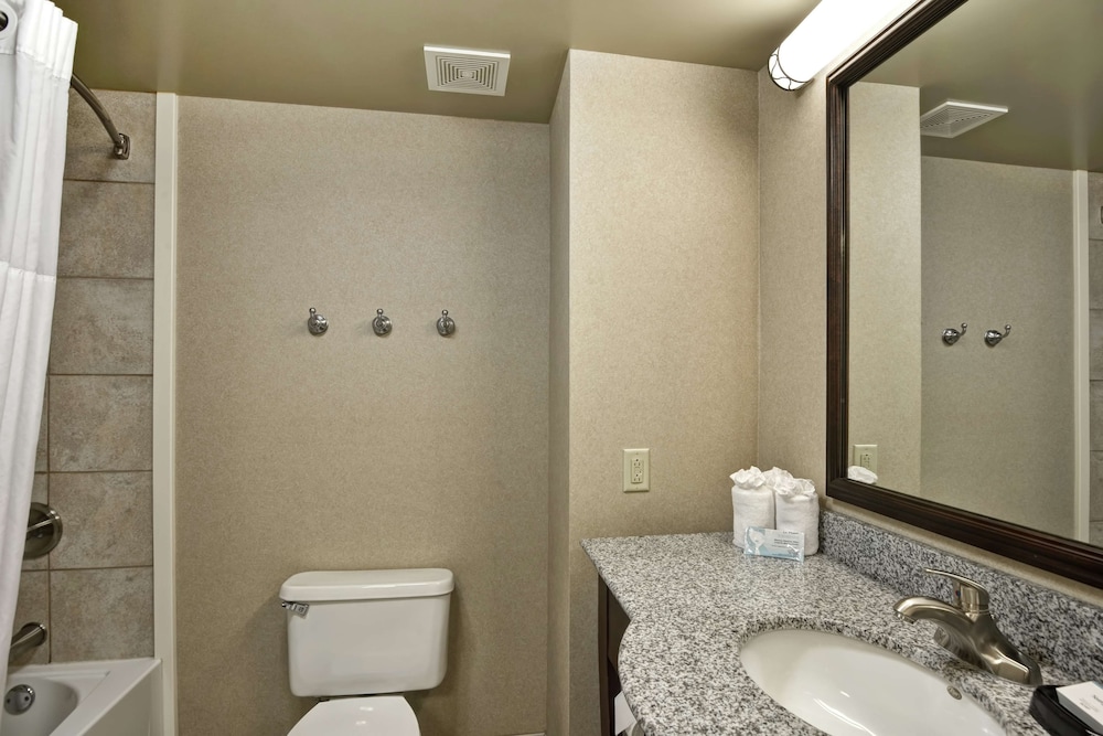 Hampton Inn Sayre - photo 21