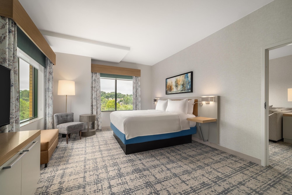 Hilton Garden Inn Arlington Shirlington - photo 15