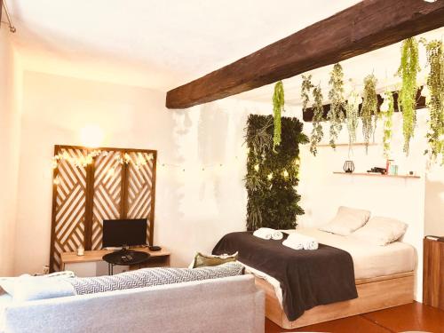 Jungle Hyper Centre in Nimes, France