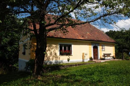 Počitniška hiša pod RAJHOVKO in Unknown City, Slovenia