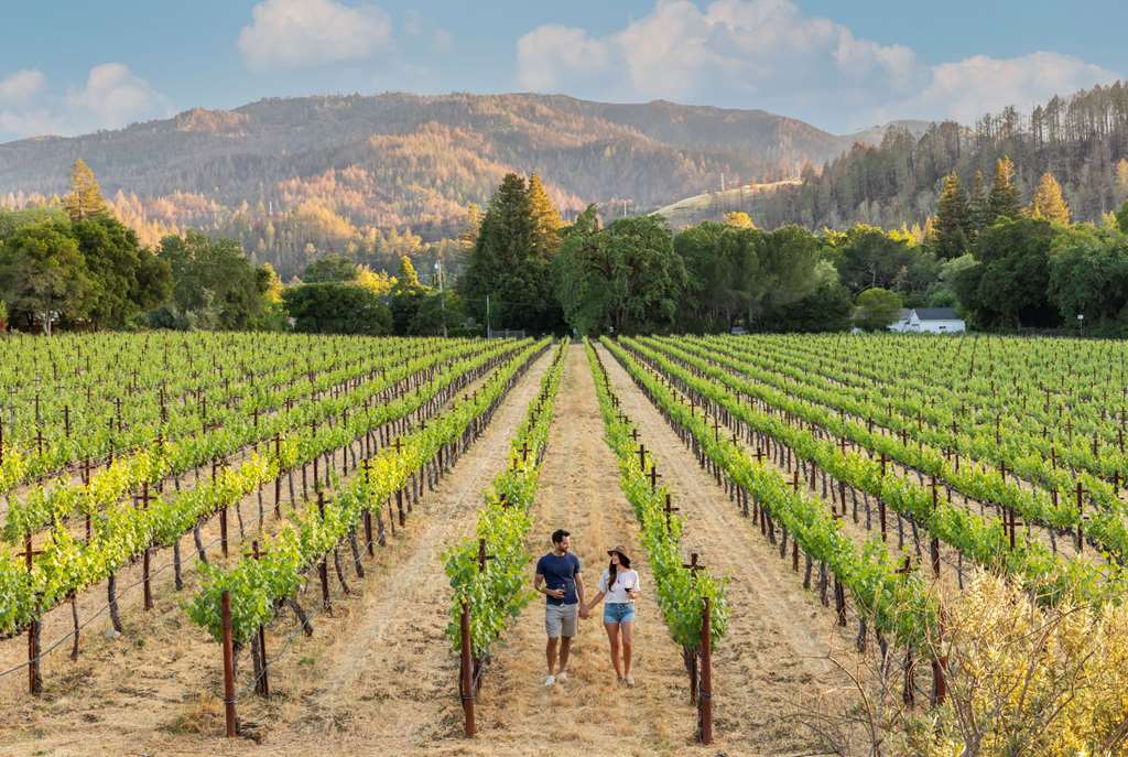 Alila Napa Valley a Hyatt Luxury Resort - photo 46