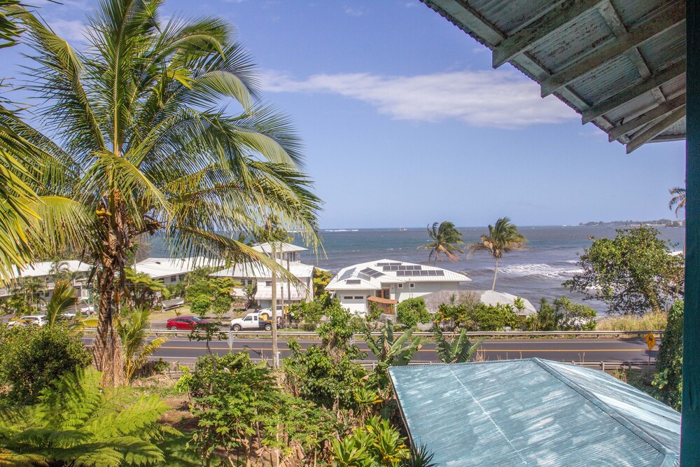 Wild Ginger Inn Hotel - photo 46