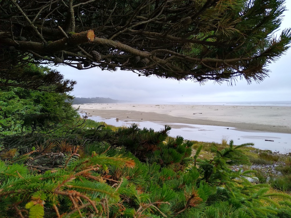 Starfish Point - photo 45