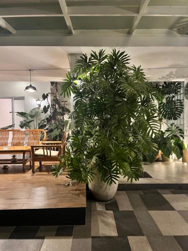 No303 - carbon neutral hotel in Bandung