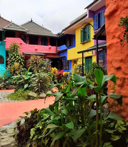 Caskaffesu Hotel And Restaurant Mindo — Unknown City