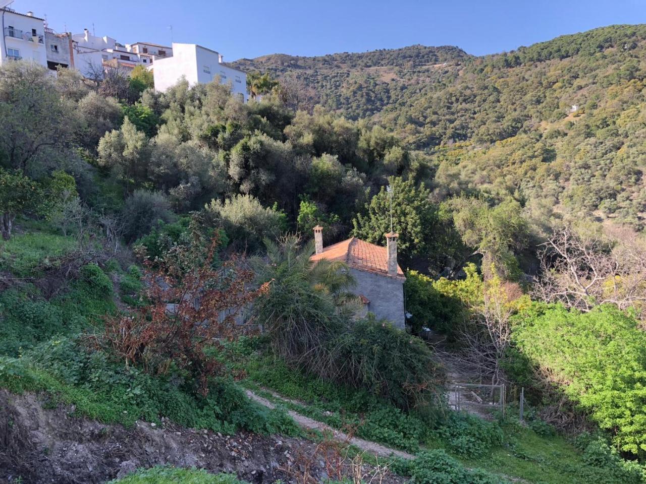 Molino de Santos — hotel in Benarraba